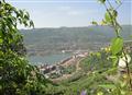 Lavasa Greenery