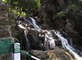 Falls