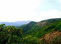 in the nature