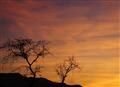Tricks of the Setting Sun