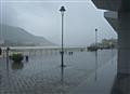 Rainy Day