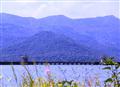 The Lake