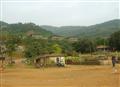 THE BROWN LAVASSA