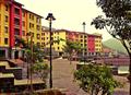 wah lavasaaa