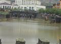 bridging d gaps 