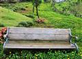 Take it easy with nature of lavasa