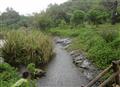 Quiet Sidestream Getaway