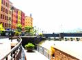 Amazing CreAtivity@ Lavasa