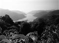 the lake