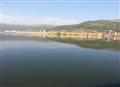 green hand holding lavasa tight.look @it carefully