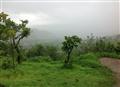 Foggy Lavasa
